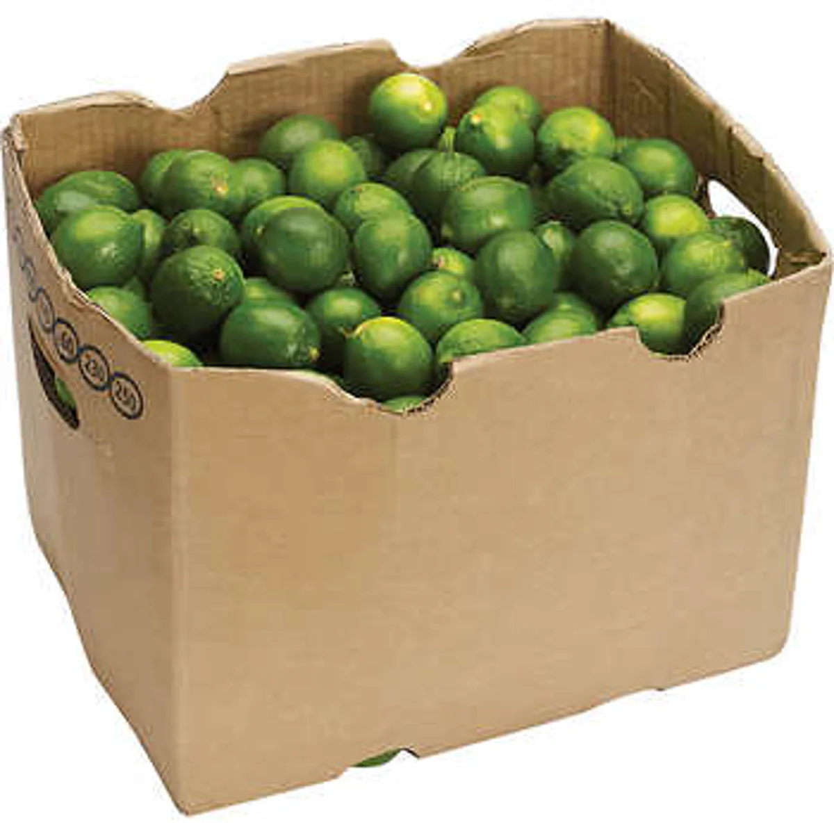 LIMES