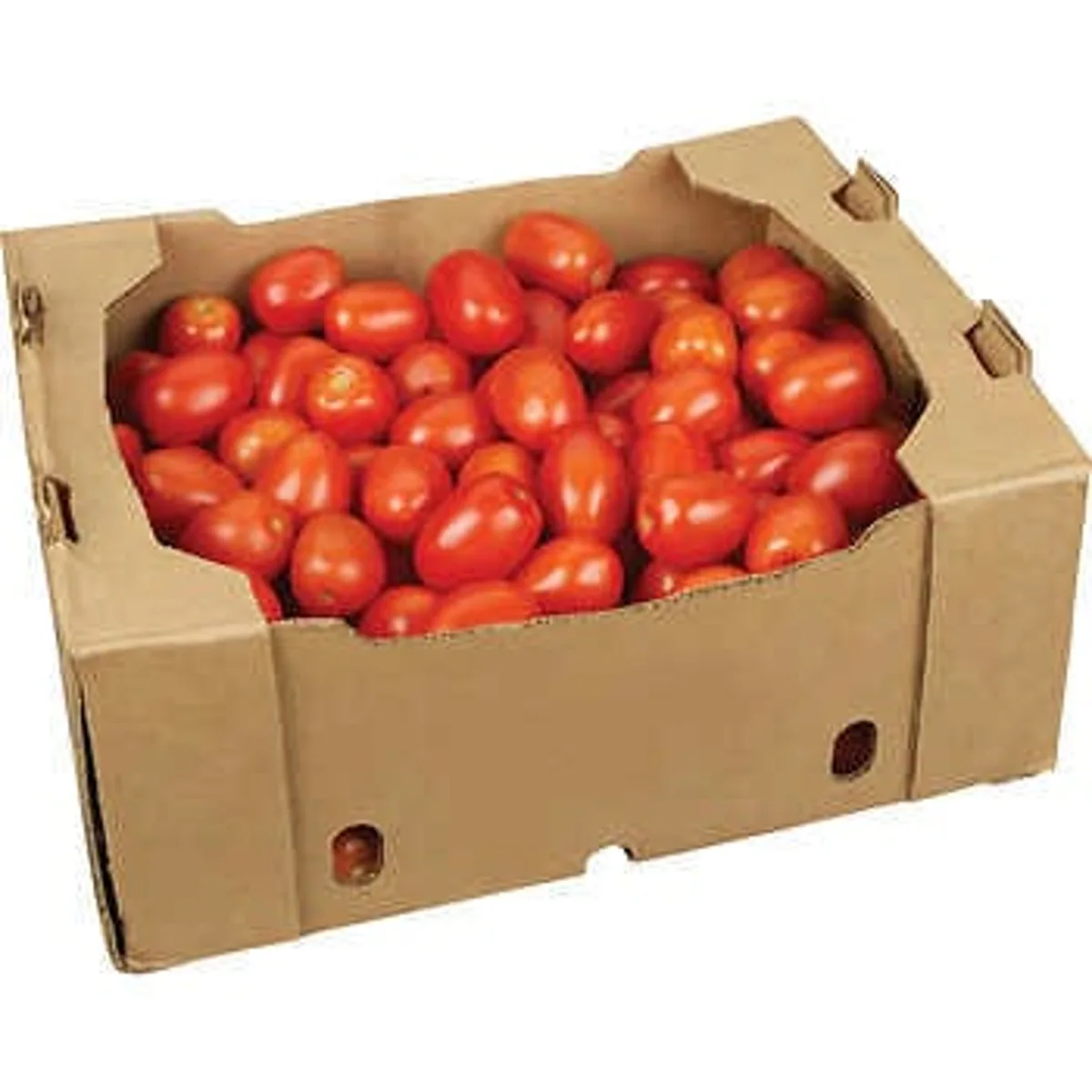 ROMA TOMATO BOX 25LBS