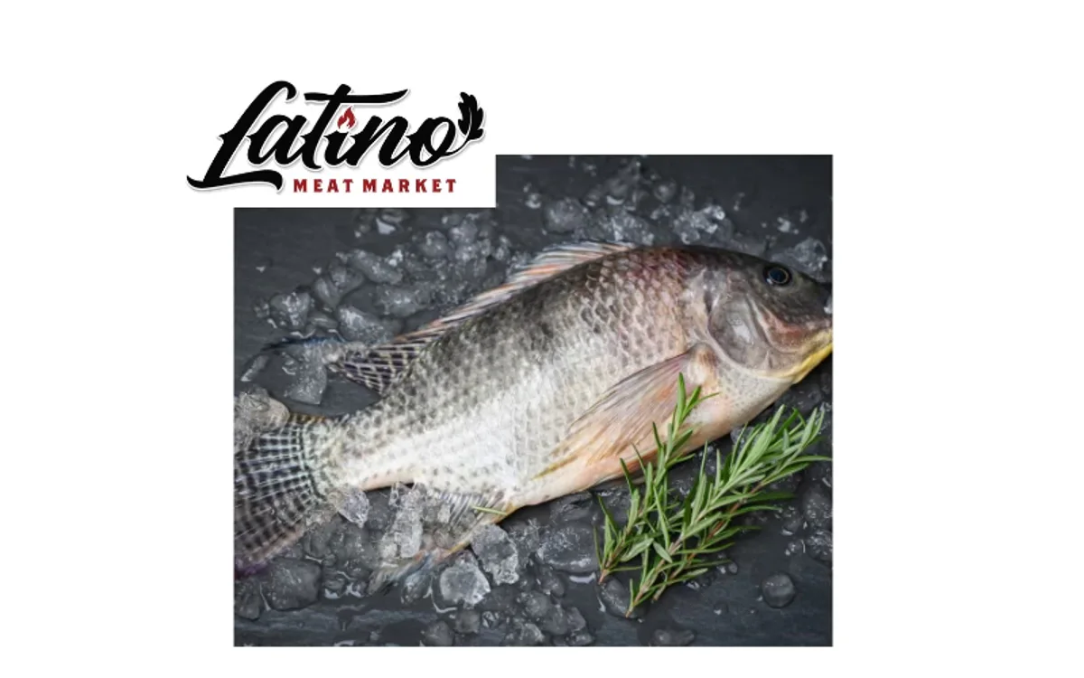 MOJARRA | WHOLE TILAPIA