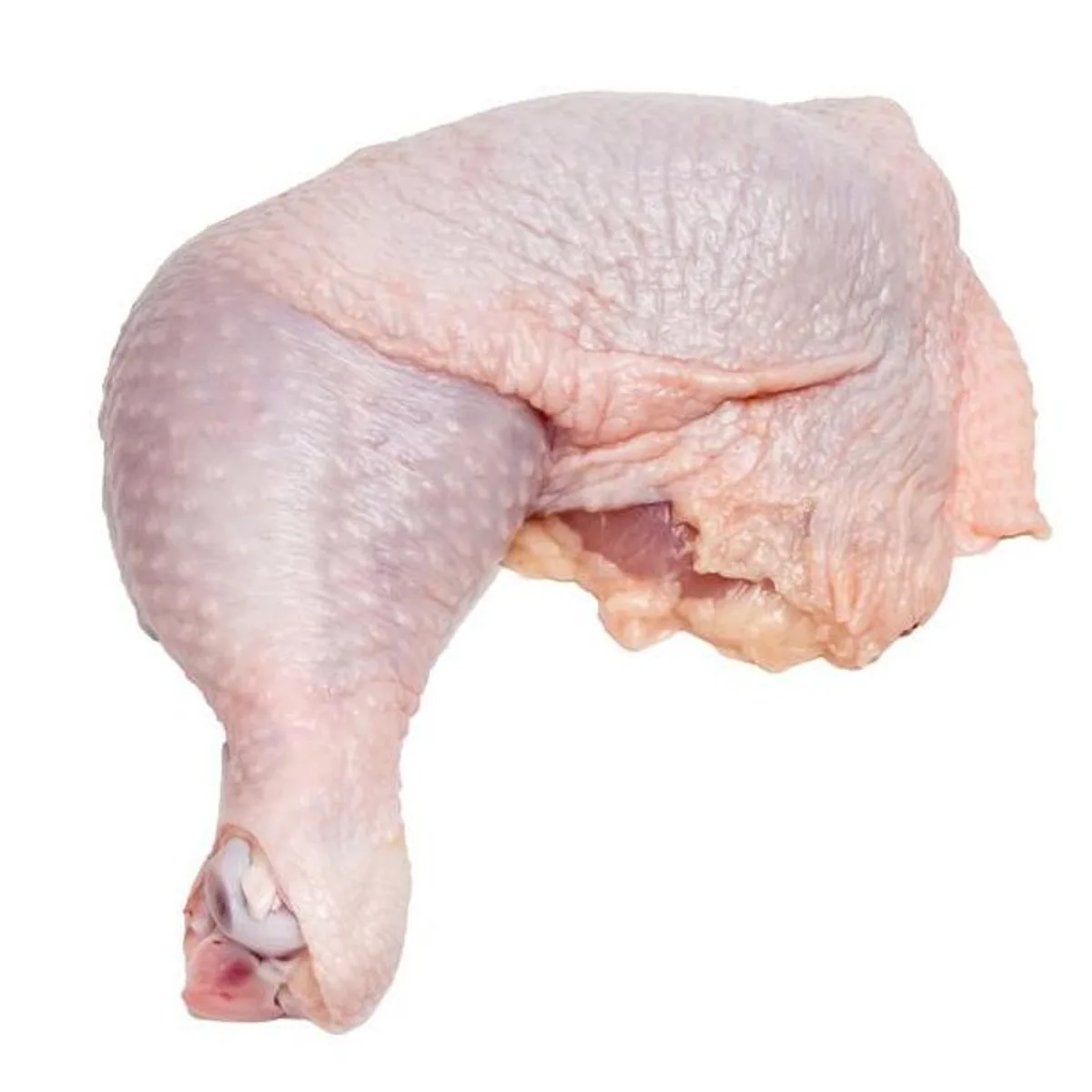 LEG QUARTER